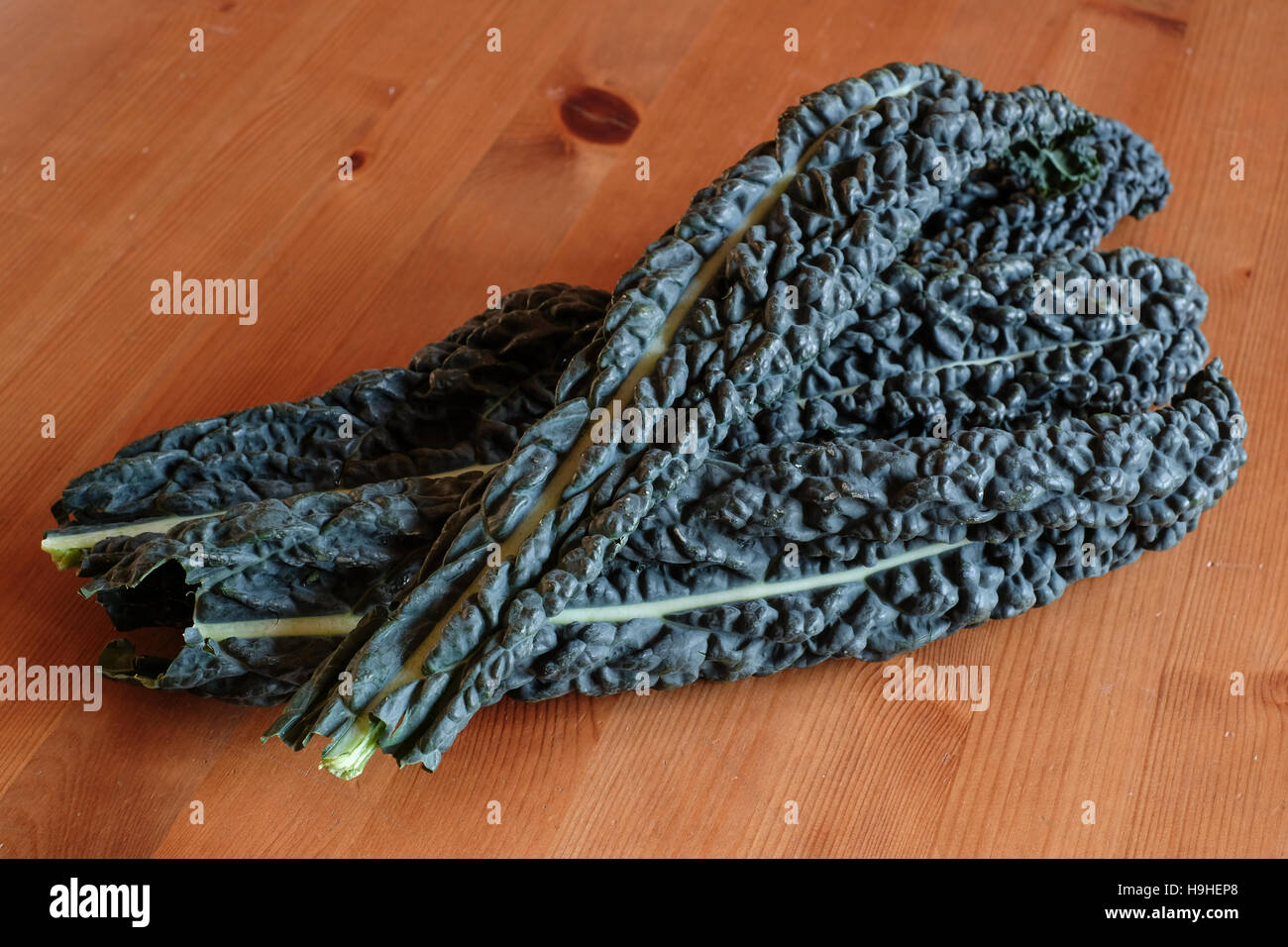 Black Kale Stock Photo