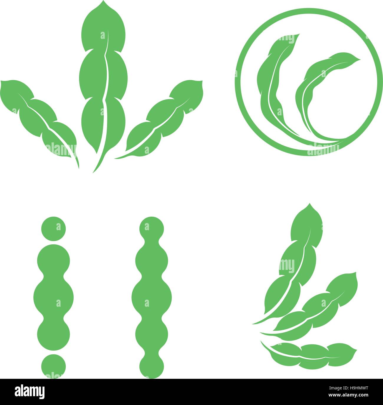 Set of green isolated leaves logos. Plant elements logotype collection. Natural products sign. Leaf symbol. Healing herbs icon. Vector illustration. Stock Vector