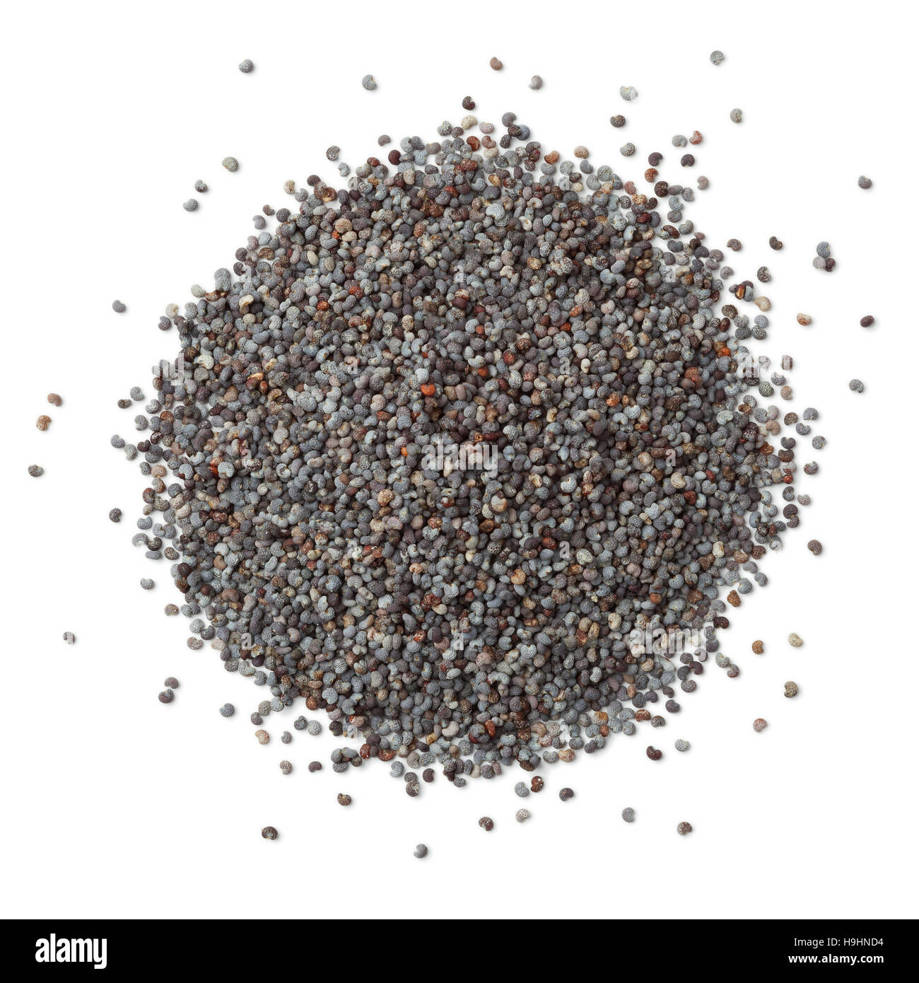 Heap of blue poppy seeds  on white background Stock Photo