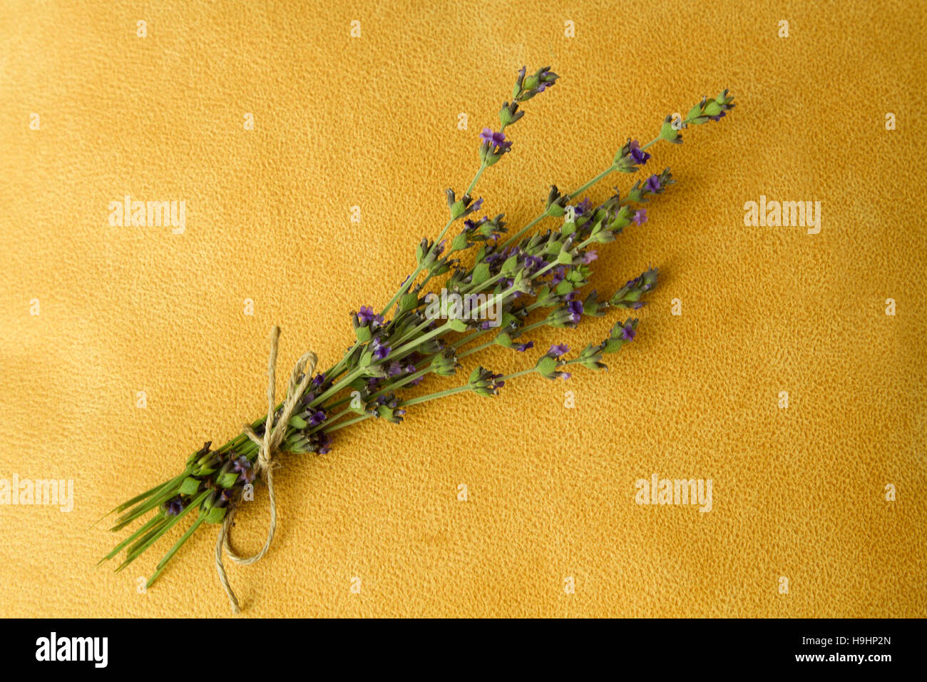 Bouquet of lavender on the bright yellow background Stock Photo - Alamy