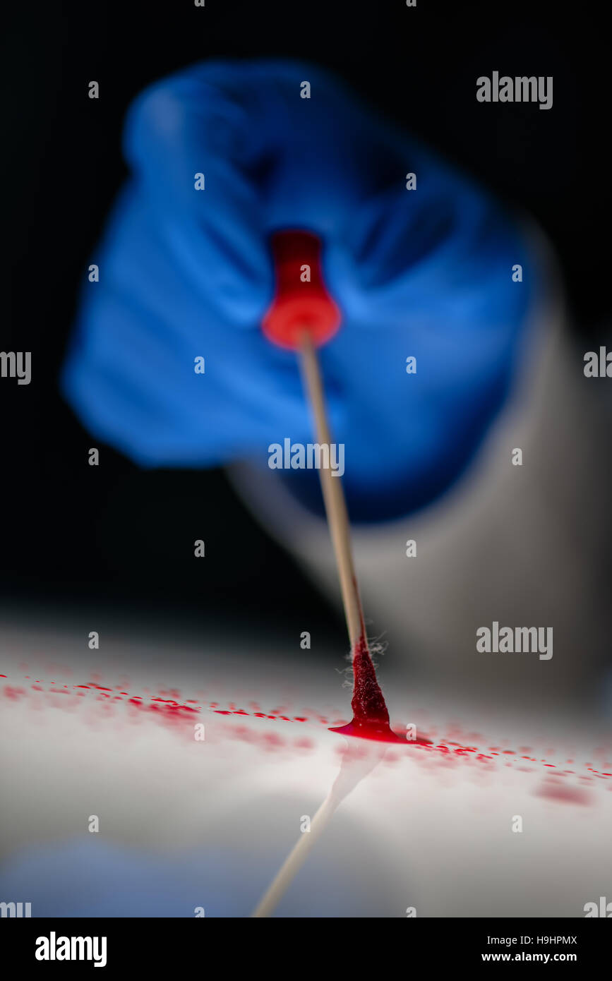 Forensic technician taking DNA sample from blood stain with cotton swab