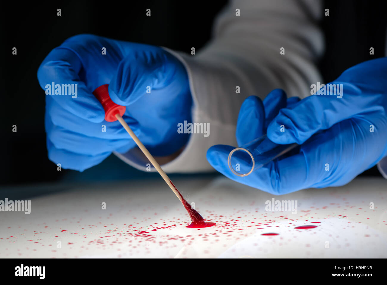Forensic technician taking DNA sample from blood stain with cotton swab
