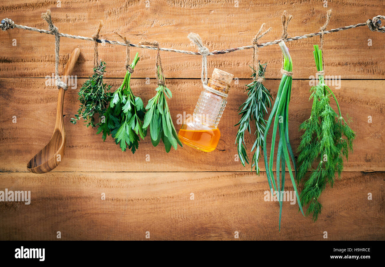 Assorted herb bundles hanging parsley ,sage,rosemary, dill,sprin Stock Photo