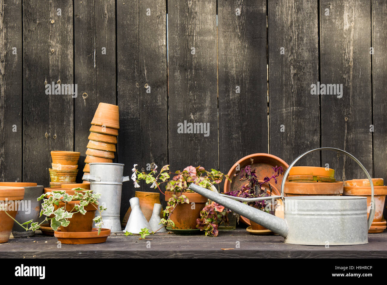 romantic idyllic plant table in the garden with old retro flower pot pots, garden tools and