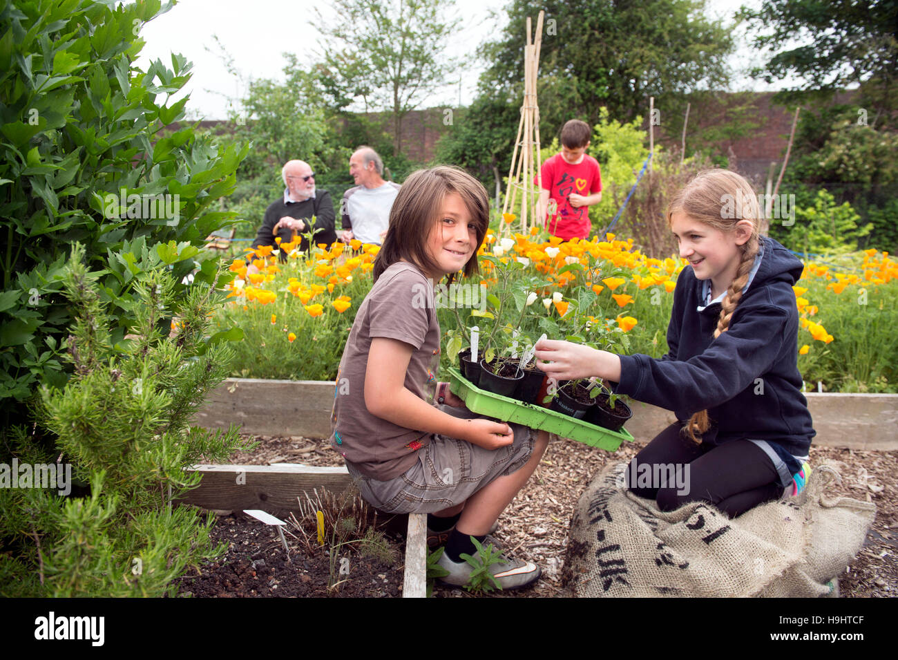 Young gardeners at the Golden Hill community garden in Bristol, UK Stock Photo