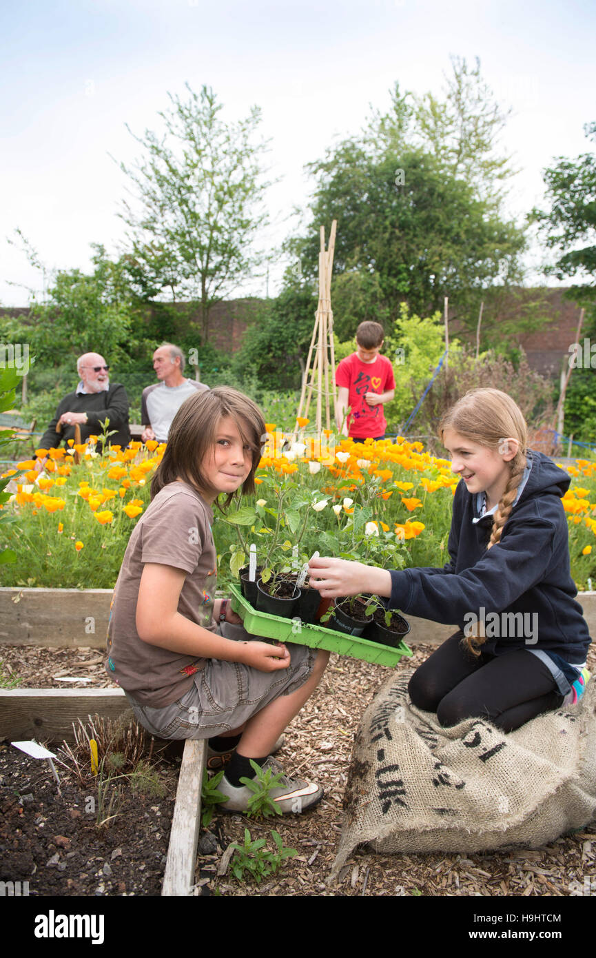 Young gardeners at the Golden Hill community garden in Bristol, UK Stock Photo