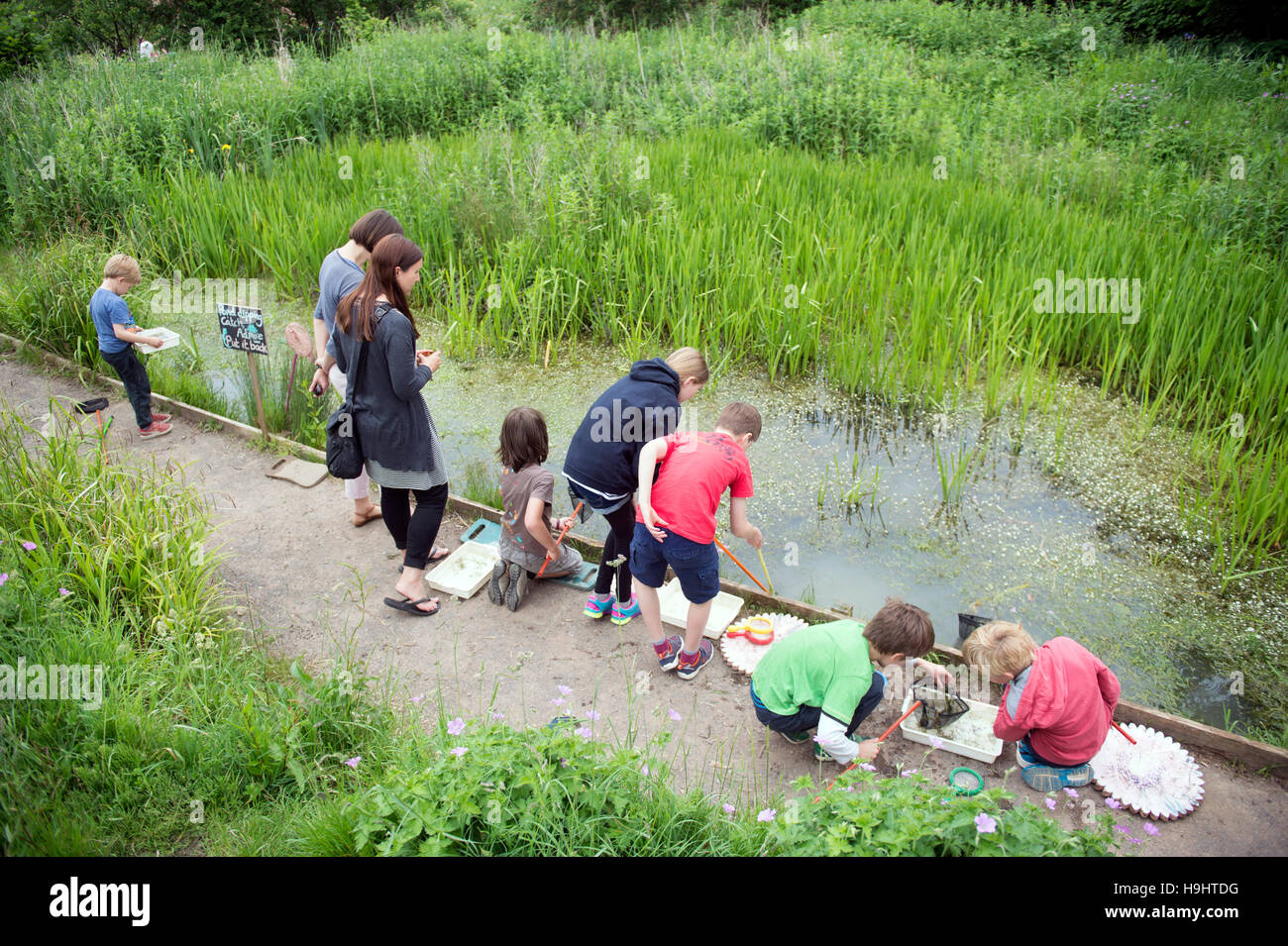 Children pond dipping at the Golden Hill Community Garden in Bristol, UK Stock Photo