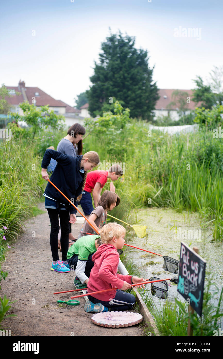 Children pond dipping at the Golden Hill Community Garden in Bristol, UK Stock Photo