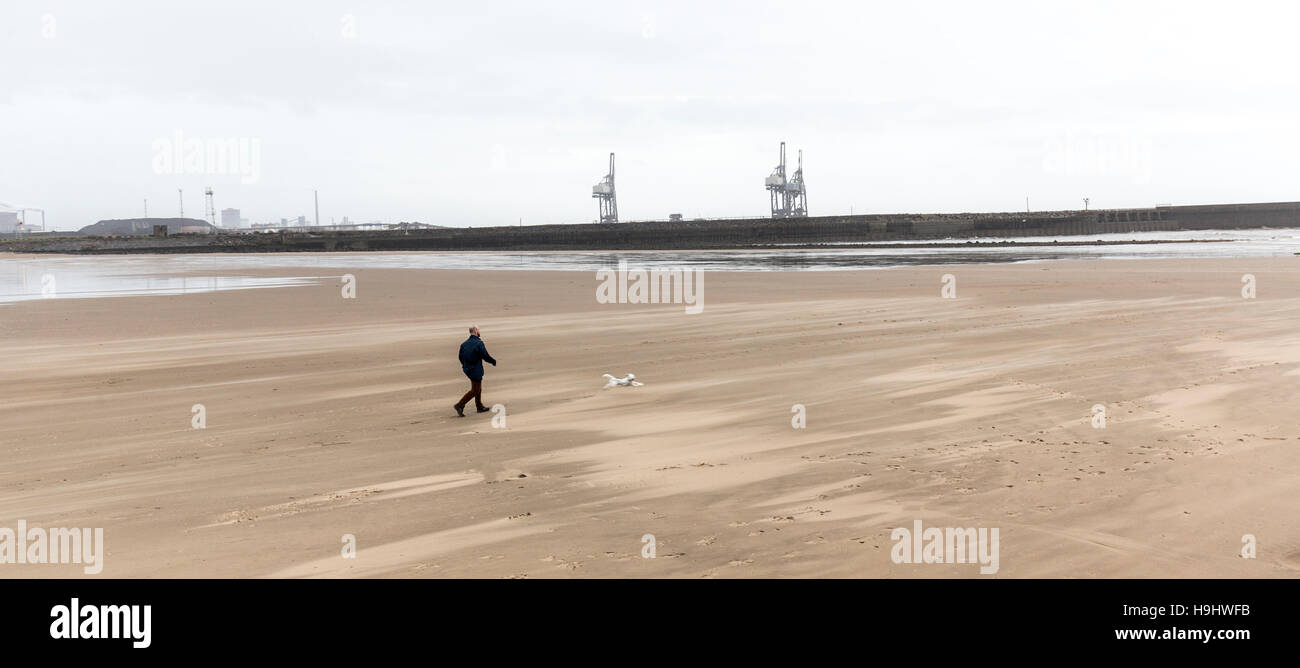 Man with running dog on beach, Aberavon, Wales, UK Stock Photo