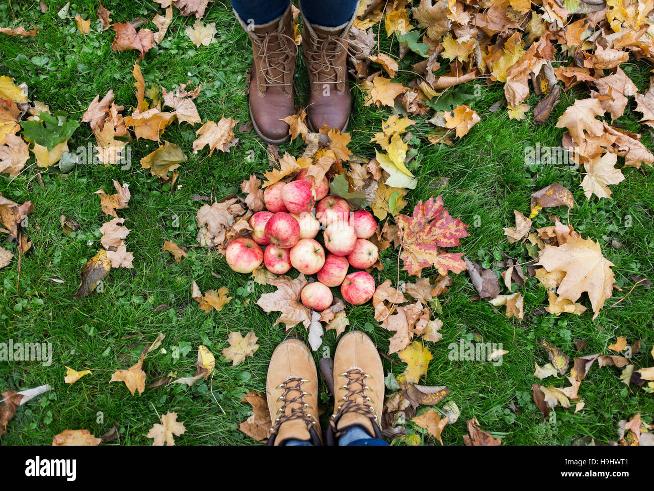 Feet In Boots With Apples And Autumn Leaves Stock Photo Alamy feet-in-boots-with-apples-and-autumn-leaves-stock-photo-alamy
