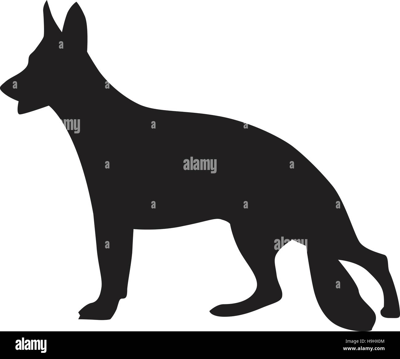 Domestication of dog Stock Vector Images - Alamy
