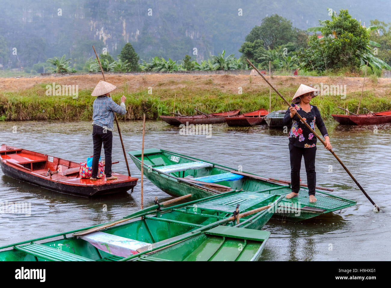 women rowing a sampan in Tam Coc, Ninh Binh, Vietnam, Asia Stock Photo