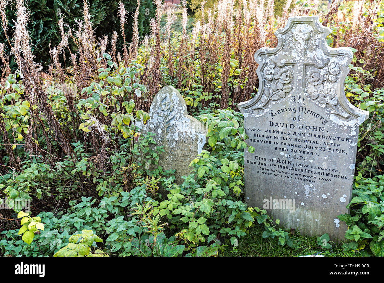 Gravestones in overgrown graveyard for soldier in first world war