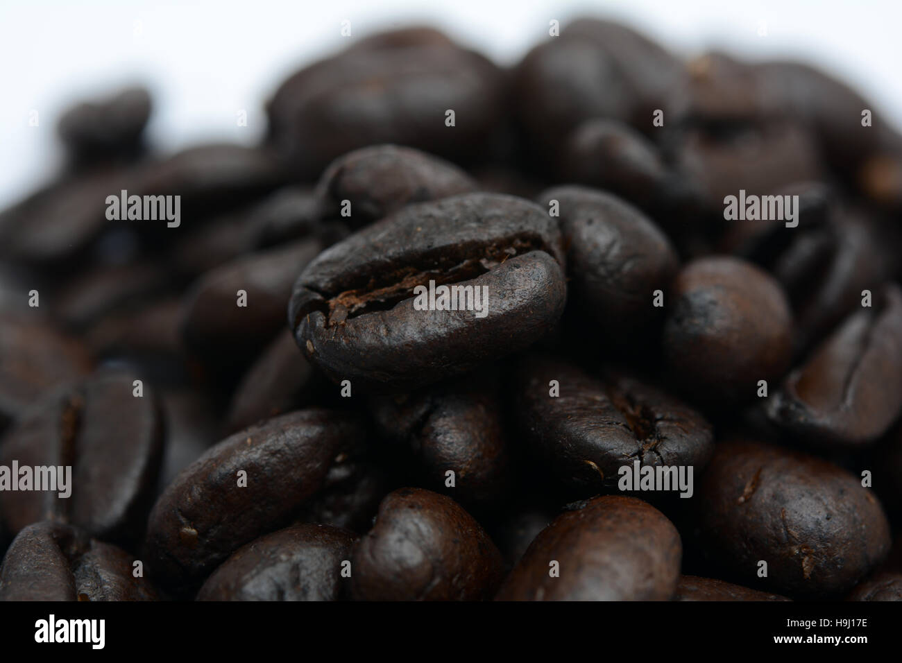 One Roasted Coffee Bean Close up Stock Photo Alamy