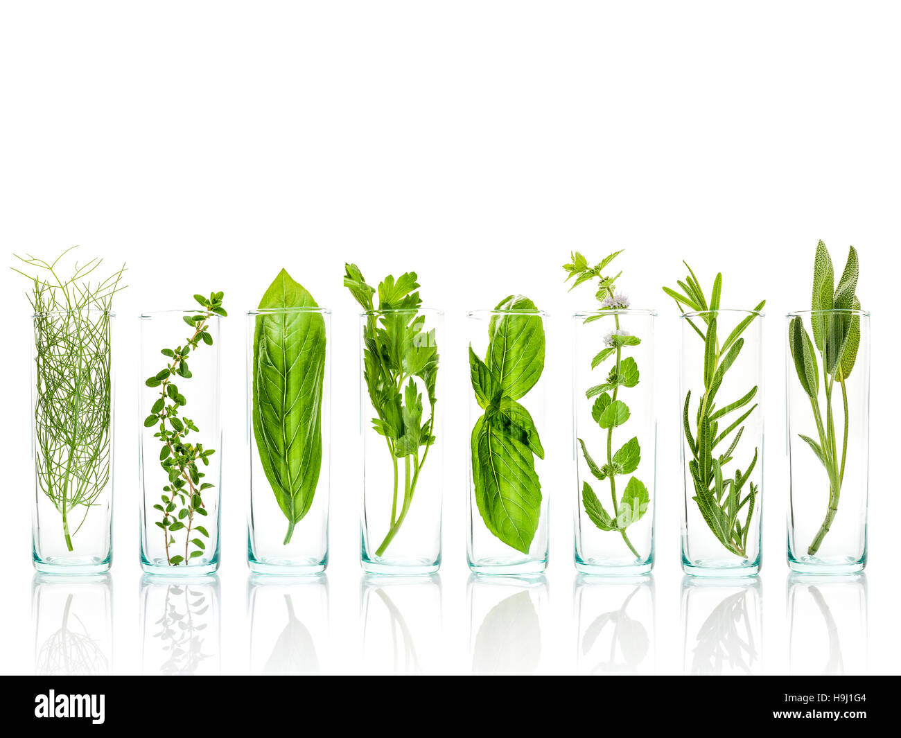 Close Up bottles of essential oils with fresh herbs . Sage, rose Stock Photo