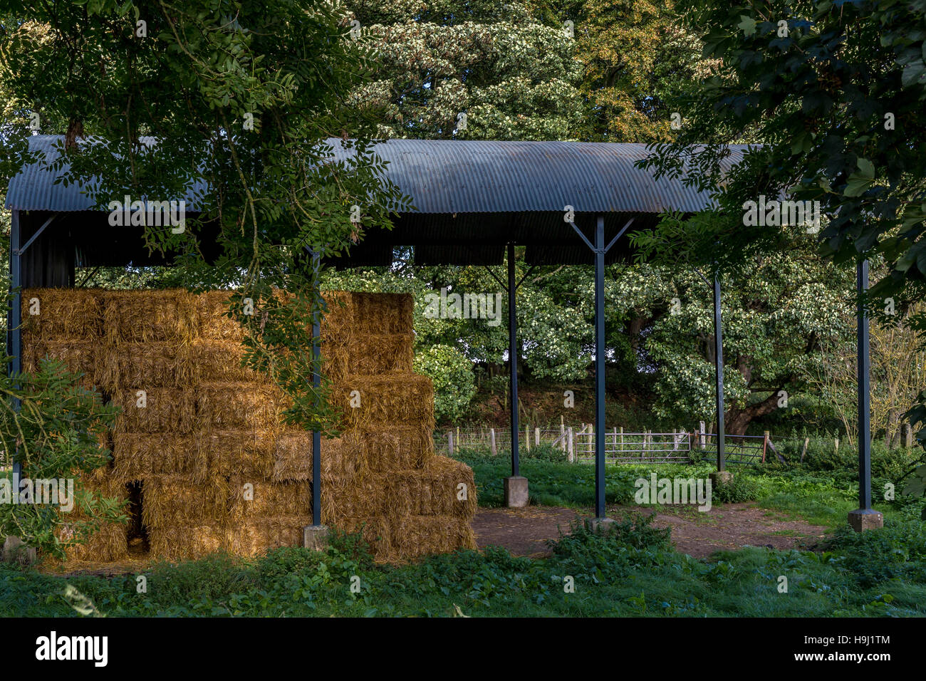 Straw Bales drying in a dutch barn Stock Photo Alamy