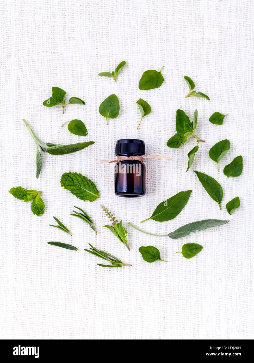 Bottle of essential oil with herb holy basil leaf, rosemary,oreg Stock Photo Alamy