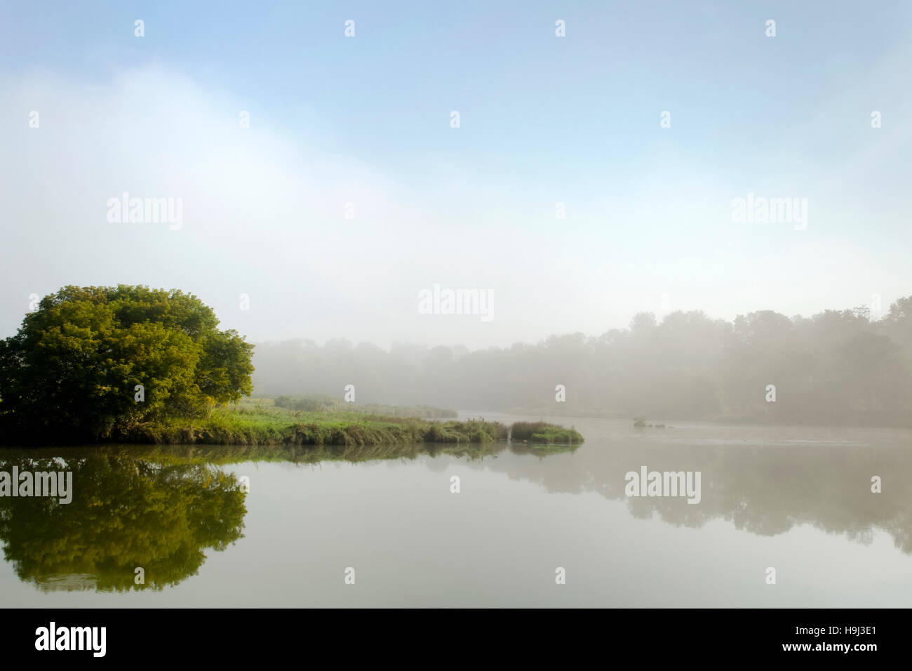Sunrise fog river landscape with tree in Whitney Point Broome County