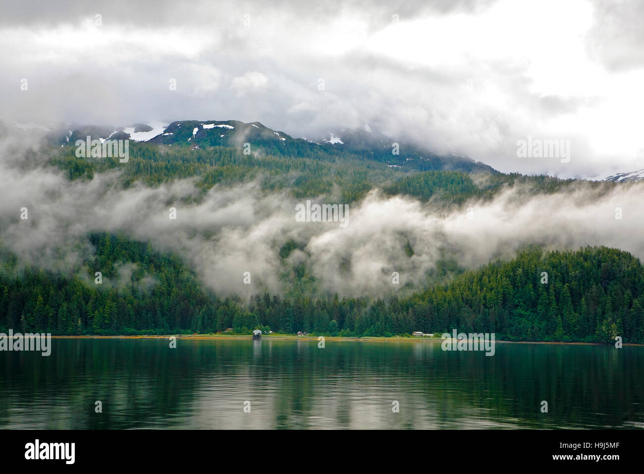 Forested shoreline of Chichagof Island along Lisianski Inlet just north