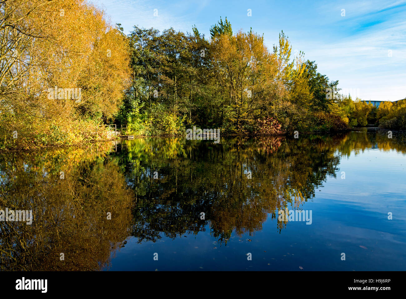The lake at the Trafford Ecology Park, Trafford Park, Manchester, England, UK Stock Photo