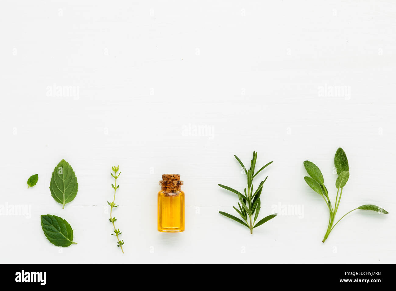 Bottle of essential oil with  fresh herbal sage, rosemary, thyme Stock Photo