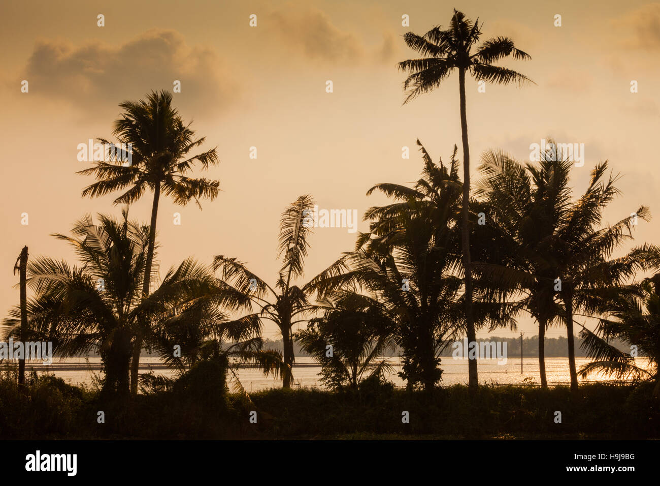 Alappuzha High Resolution Stock Photography and Images - Alamy