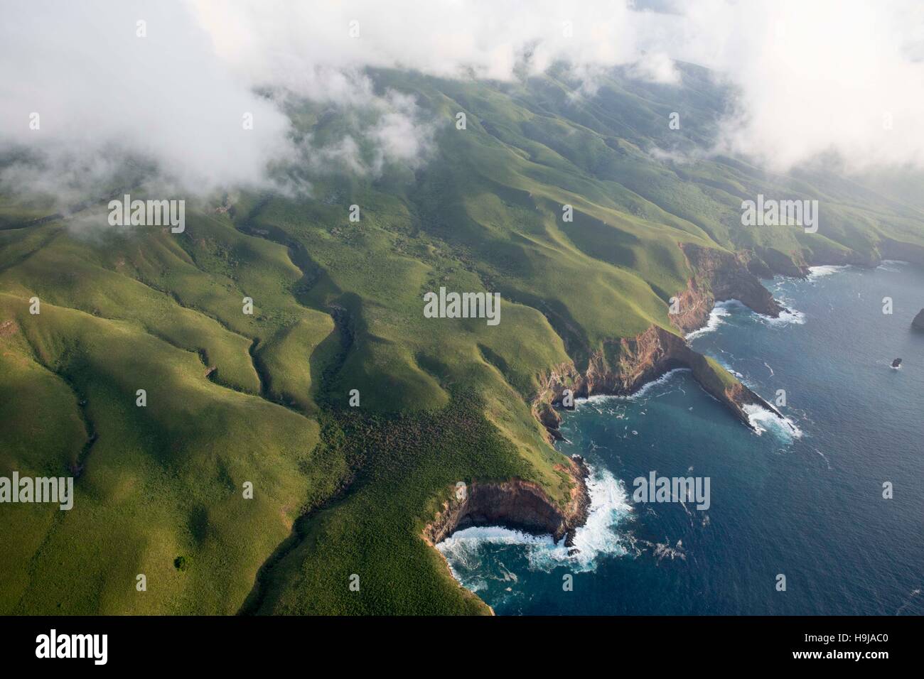 Revillagigedo archipelago hires stock photography and images Alamy