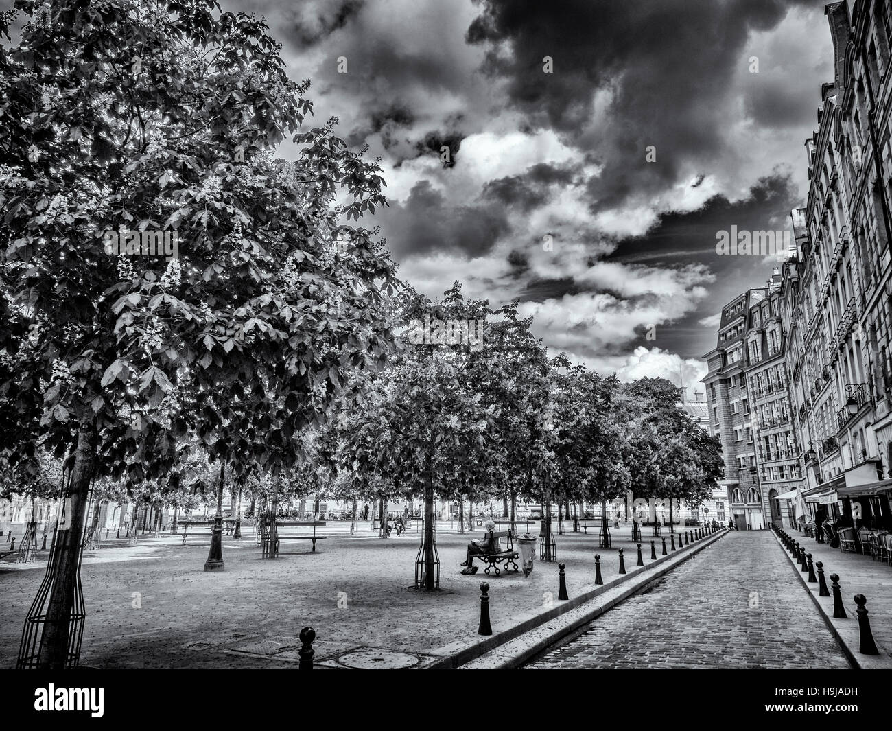 Place Dauphine in Paris, France Stock Photo