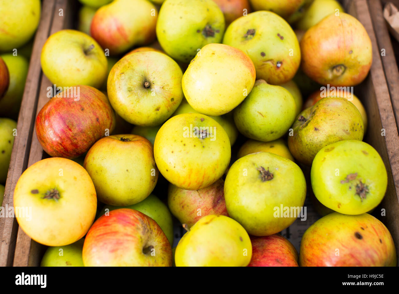 Rustic looking apples in a wooden crate in natural light. Stock Photo