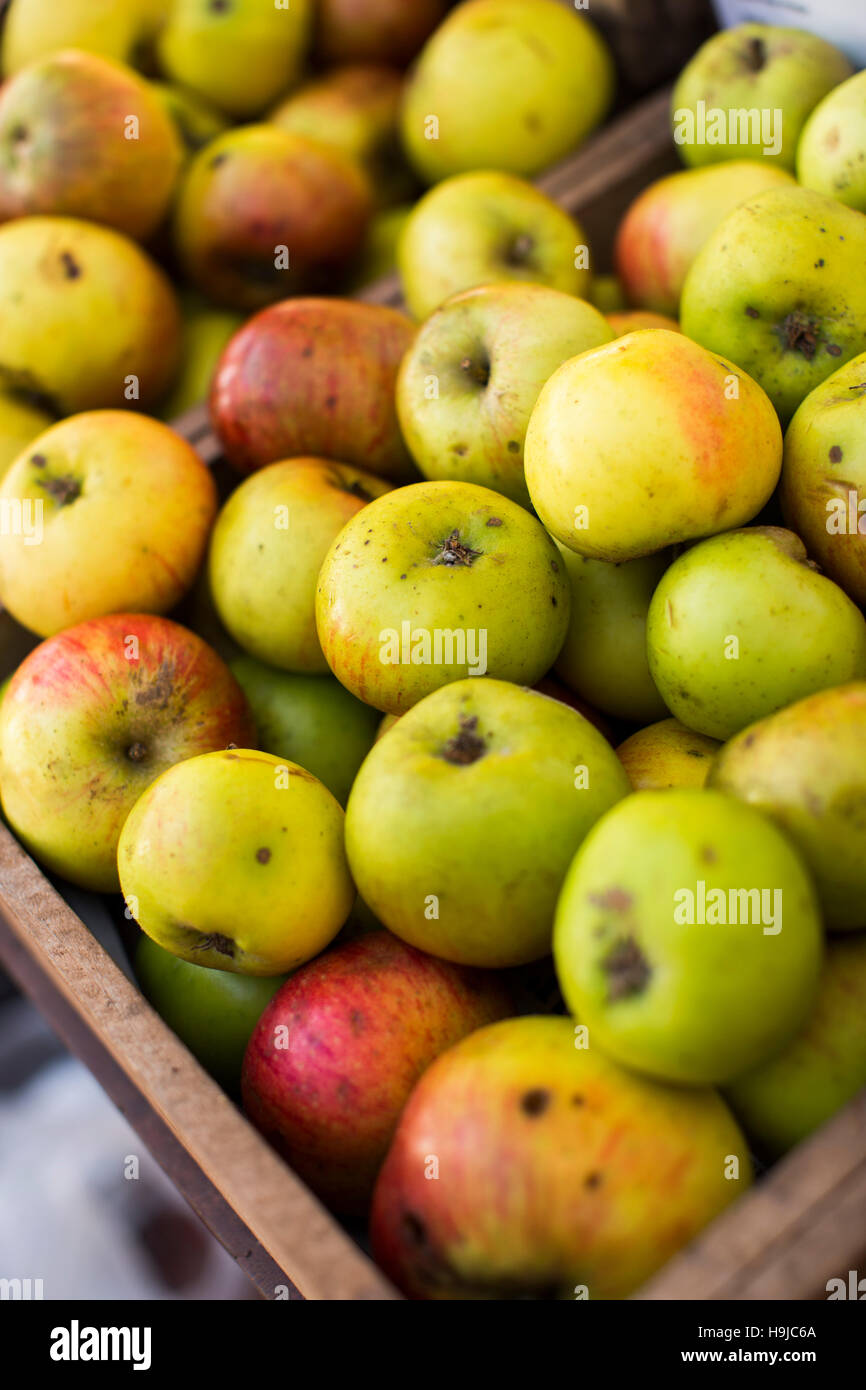 Rustic looking apples in a wooden crate in natural light. Stock Photo