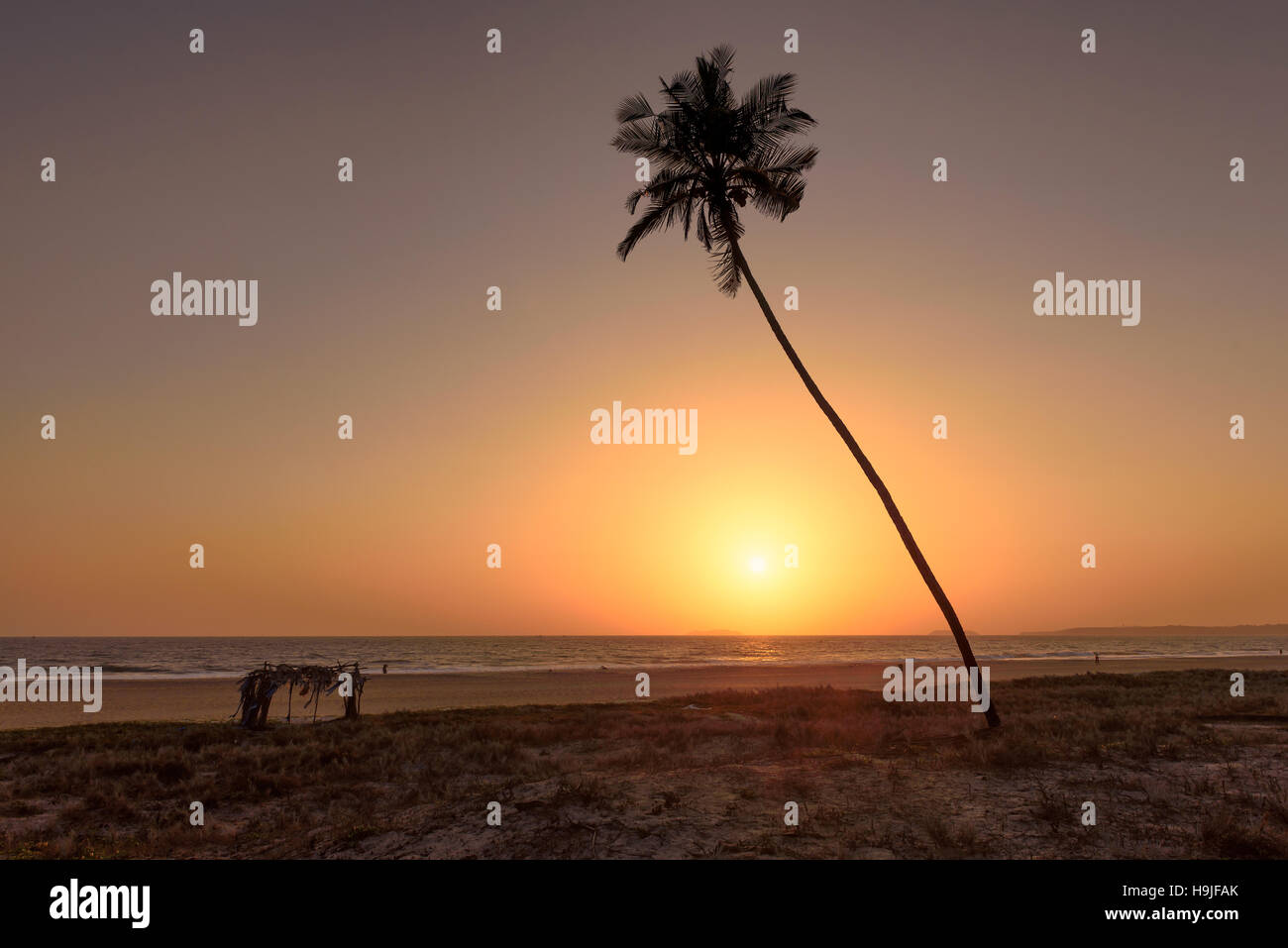 Jamaica beach sunset hi-res stock photography and images - Alamy