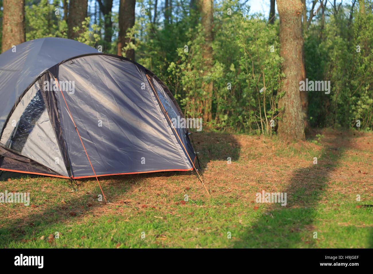 Modern gray closed tent on clearing in the forest Stock Photo
