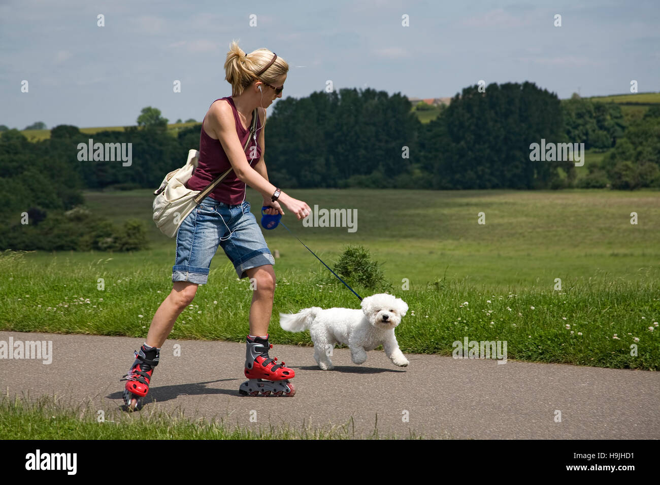 Young lady on roller blades taking her dog a walk Stock Photo Alamy