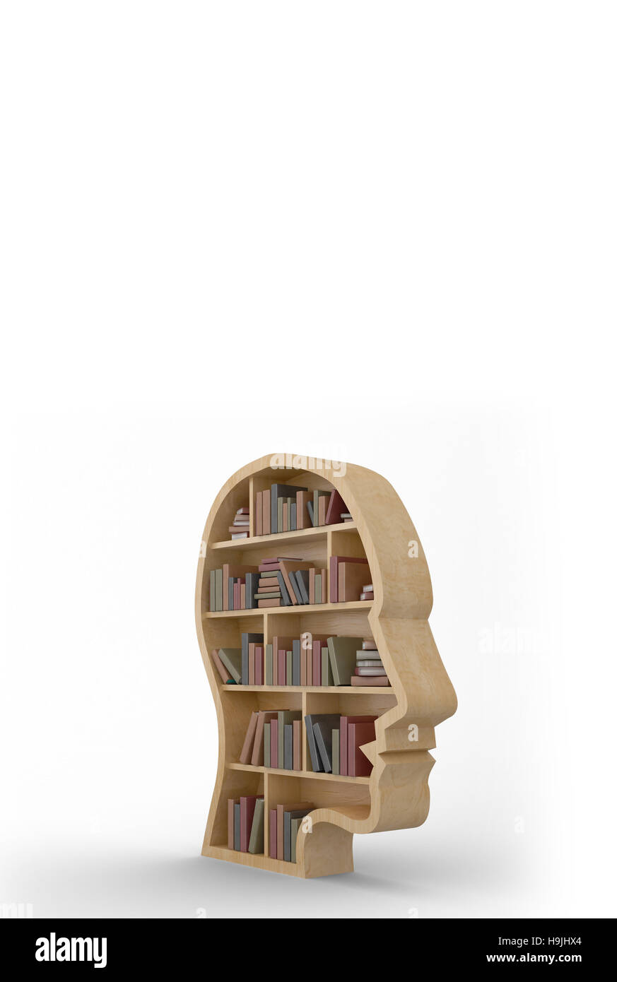 Composite image of human face shape bookshelves Stock Photo