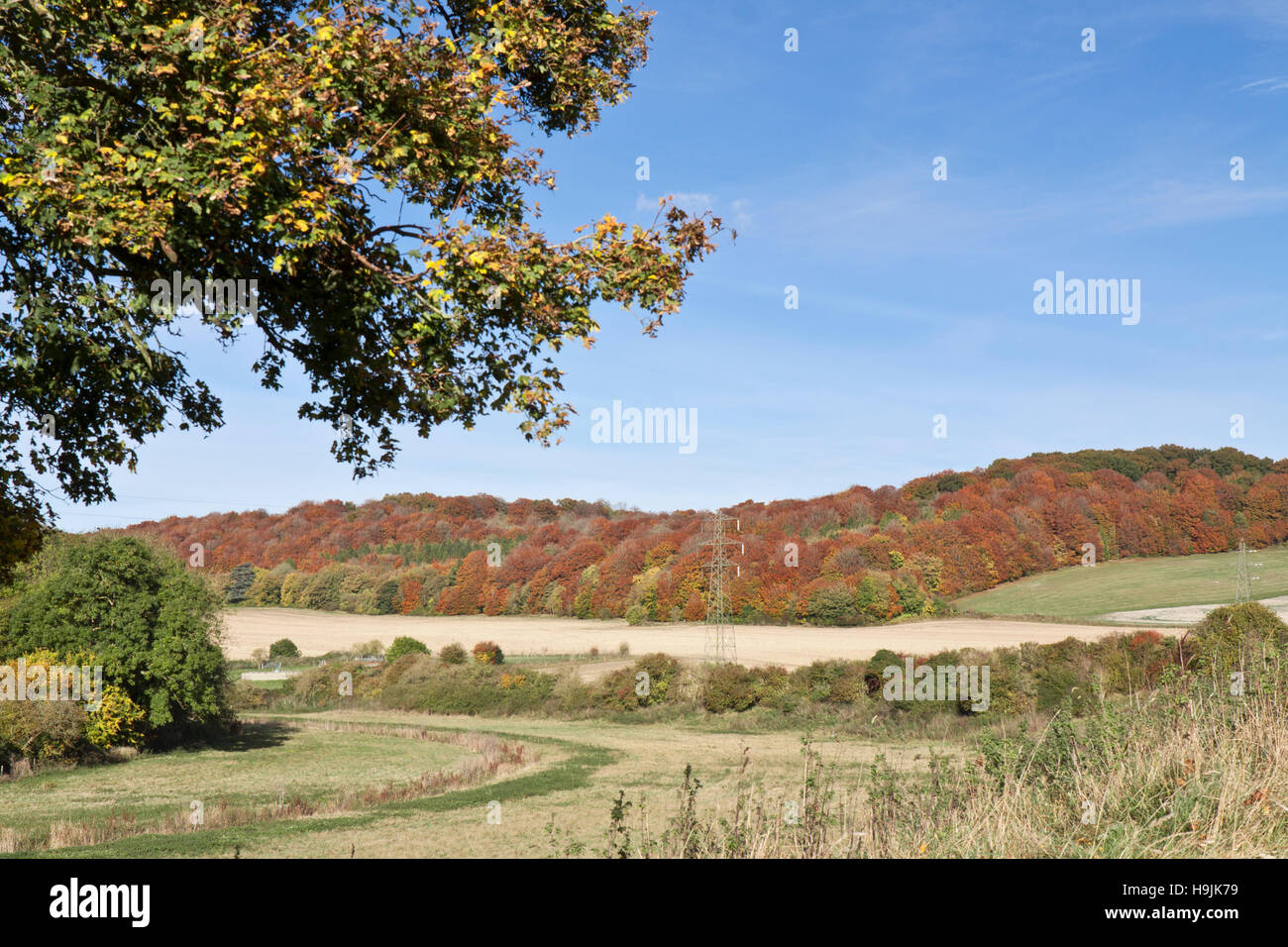 River Bourne,Shipton Bellinger,Hampshire,England Stock Photo Alamy