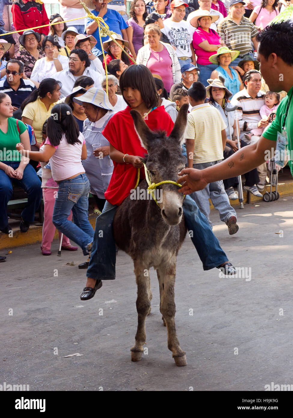 Child riding a donkey during the Donkey fair (Feria del burro) in Otumba, Mexico Stock Photo