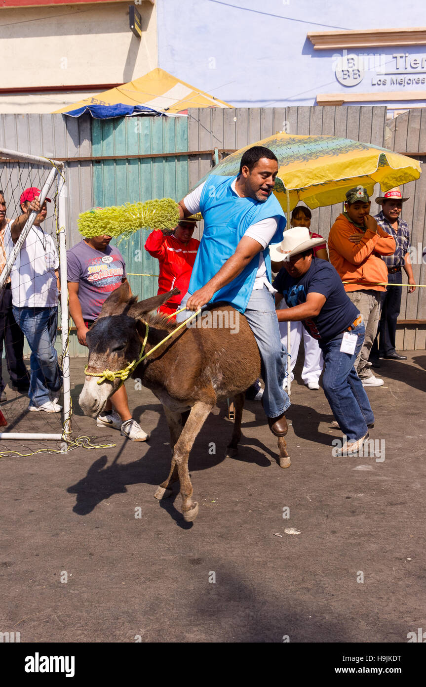 Polo game riding a donkey during the Donkey fair (Feria del burro) in Otumba, Mexico Stock Photo
