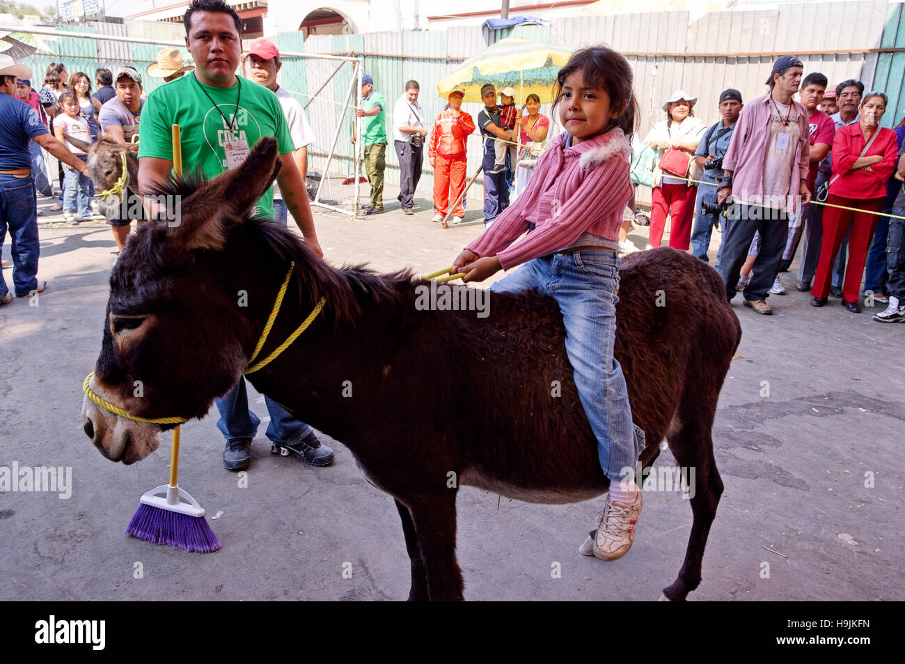 Little girl riding a donkey Stock Photo