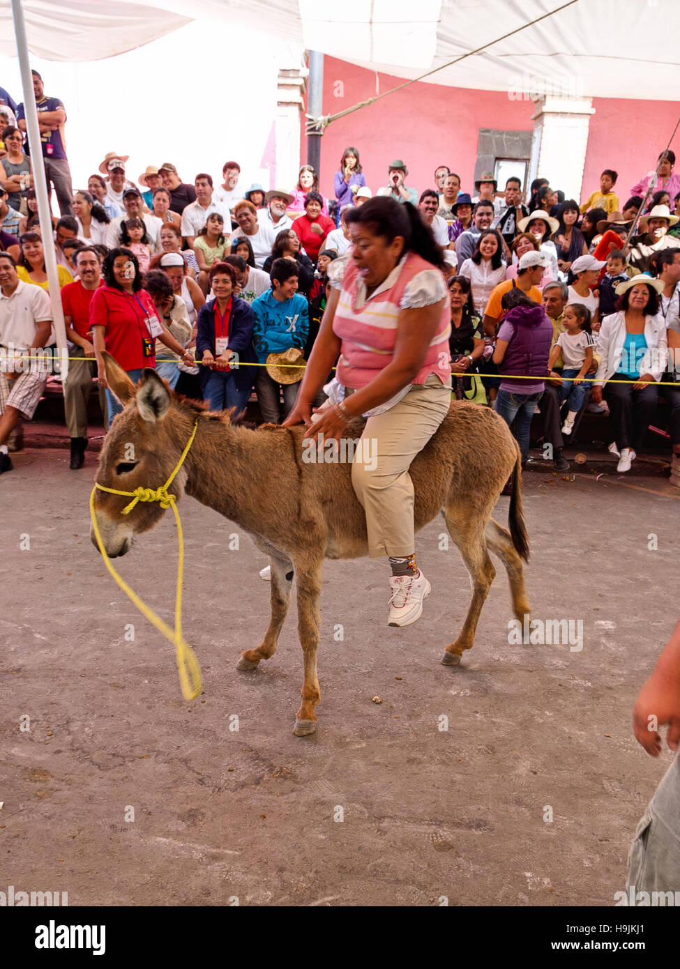 Mexican Women And Donkeys