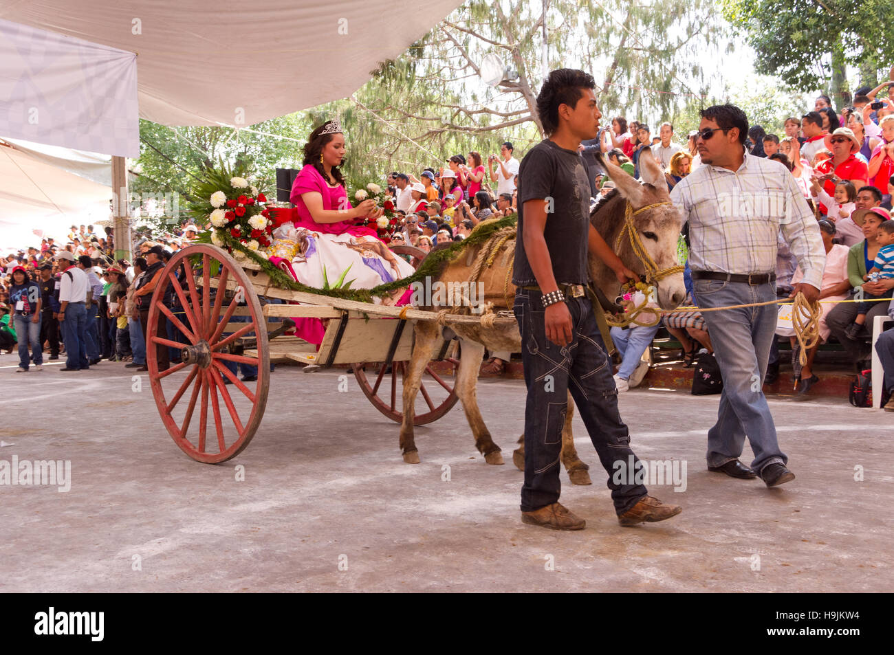 Queen of the Donkey fair (Feria del burro) in Otumba, Mexico Stock Photo