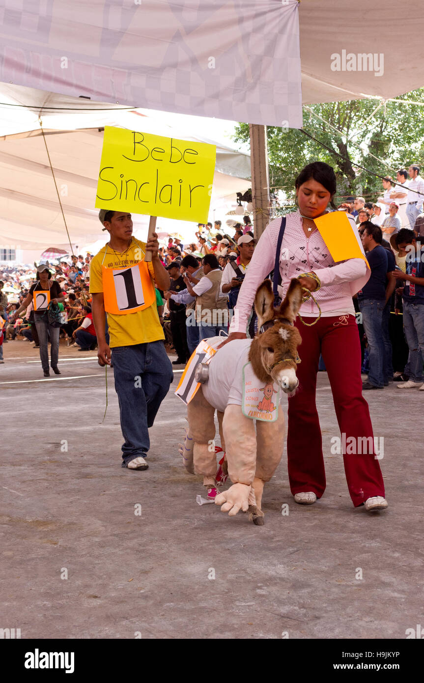 Young donkey with a 'Baby Sinclair' (Dinosaurs TV series) costume during the Donkey Fair (Feria del burro) in Otumba, Mexico Stock Photo