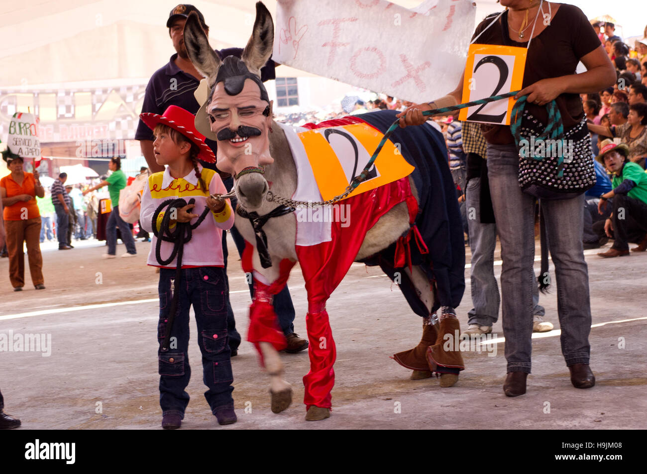 Donkey with a Vicente Fox (Mexico´s ex-president) mask during the Donkey Fair (Feria del burro) in Otumba, Mexico Stock Photo