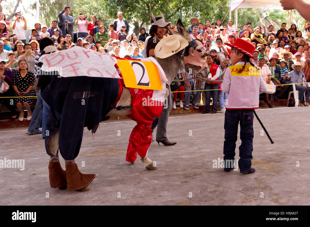 Dressed donkey contest during the Donkey Fair (Feria del burro) in Otumba, Mexico Stock Photo