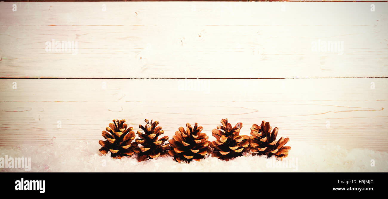 Pine cone decoration on snow Stock Photo