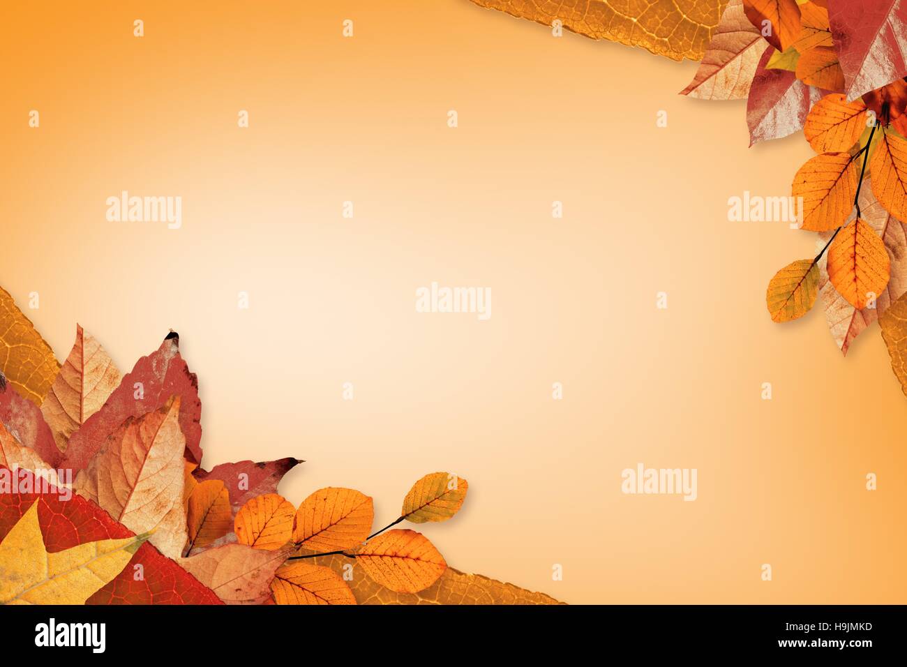 Autumn leaves pattern Stock Photo