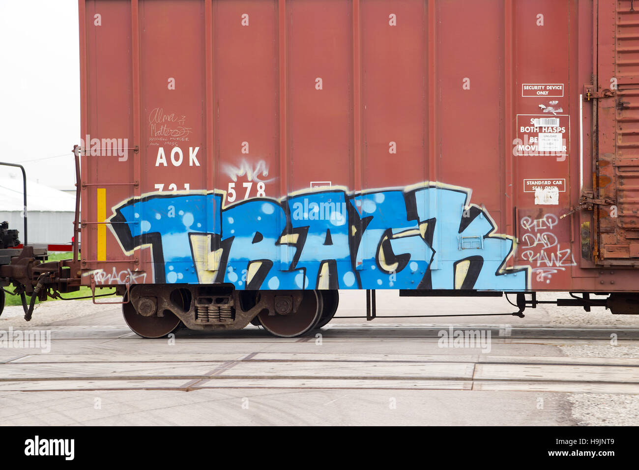 Freight cars that have been covered in graffiti passing through Pacific