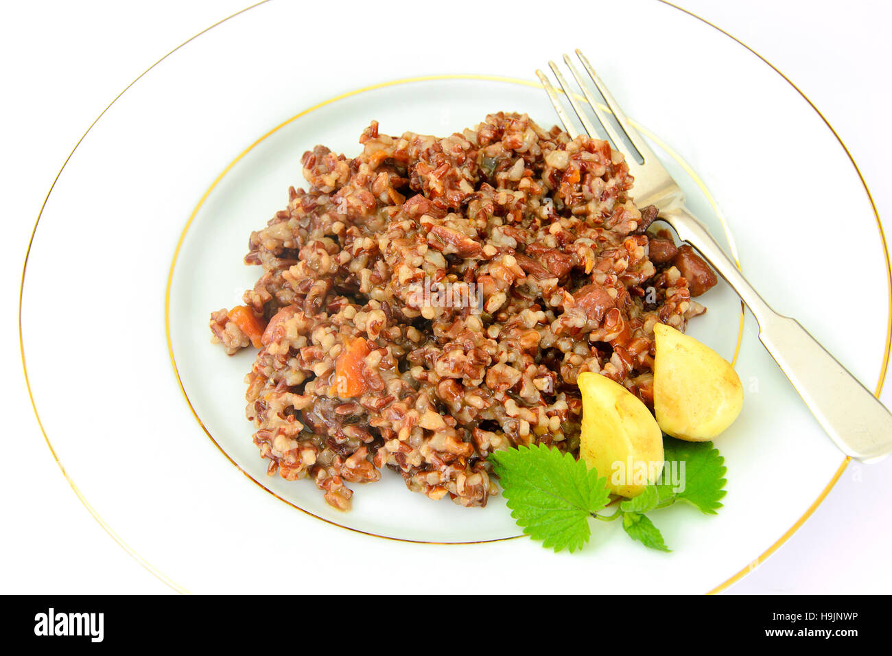 Healthy Food Pilaf with Meat and Red Rice. Studio Photo Stock Photo