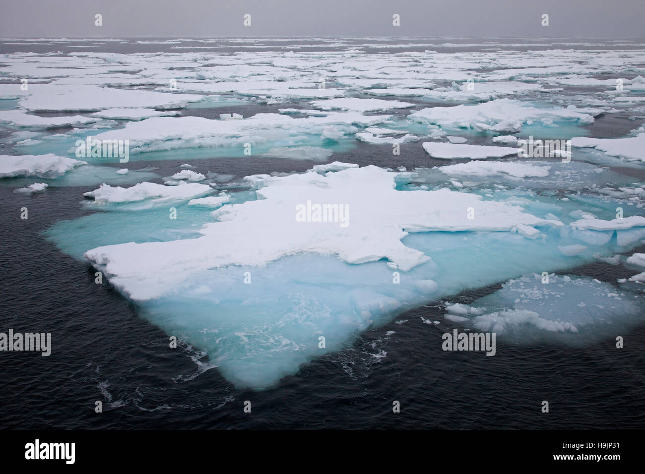 Pack ice / drift ice / ice floes drifting in the Greenland Sea Stock Photo