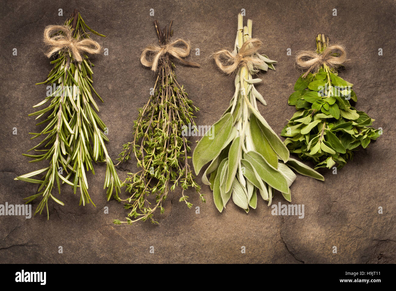 Rosemary, Thyme, Sage and Oregano tied in bunches, resting on a stone surface Stock Photo Alamy