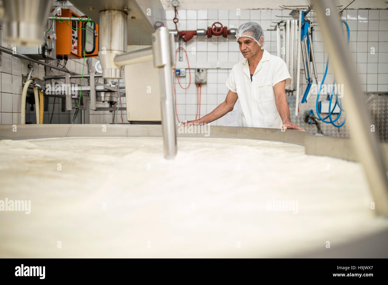 Cheese factory worker controlling curdling process Stock Photo Alamy